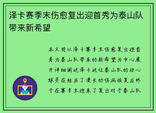 泽卡赛季末伤愈复出迎首秀为泰山队带来新希望 泽卡赛季末伤愈复出迎首秀为泰山队带来新希望